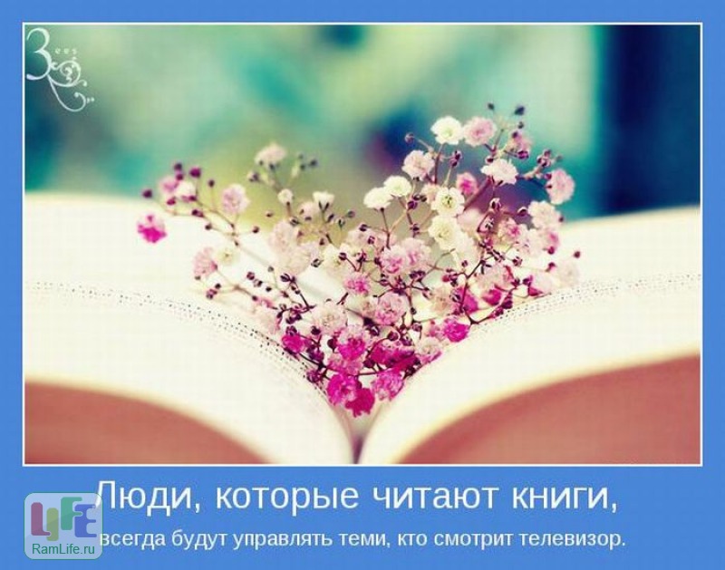 Штушка. Девушки и пары. Цветы на книге. Штушка. Девушки и пары. Цветы на книге.