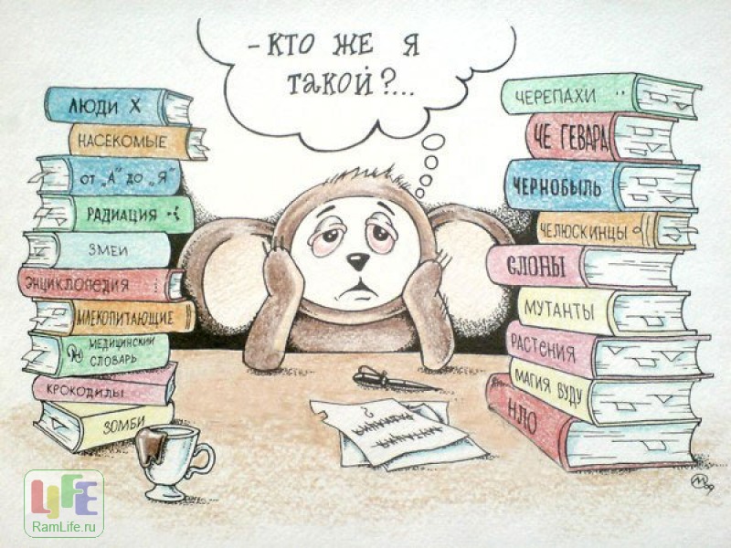 Mmpi 377 Березин Ключ