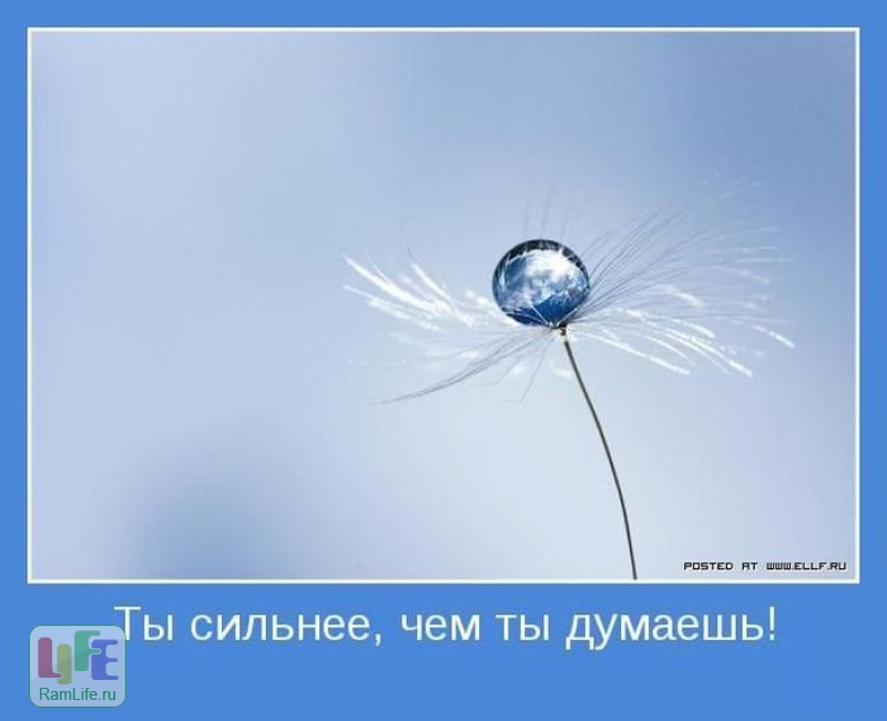 http://www.ramlife.ru/img/0009/15653-a6e2a346_800.jpg